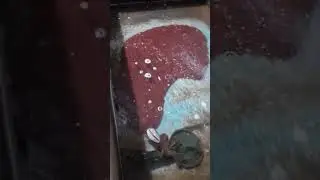 kalau keadaan cacing sutra seperti ini bikin nyaman ngeliat dan ngejualnya 😁