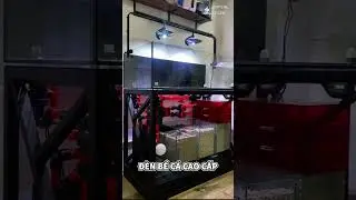 Đ&egrave;n Zetlight UFO F8 Max: &Aacute;nh S&aacute;ng Ho&agrave;n Hảo Cho Bể C&aacute; Cao Cấp #zetlightufo #denbeca #cacanh