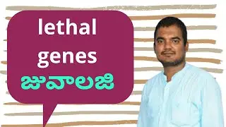 B.Sc zoology, Dominant Lethal genes, Conditional lethal genes, semilethal genes