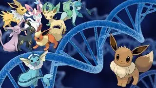 Pokemon: The Science of the Eeveelutions