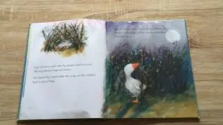 Lucy Goosey by Margaret Wild - Read Aloud