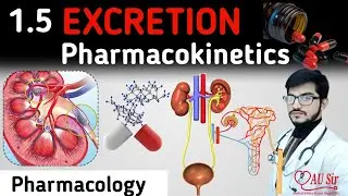 PHARMACOKINETICS- DRUG EXCRETION | General Pharmacology | AU Sir | Pharmacology Lectures by AU Sir |