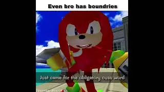 Know your limits #sonic #memes