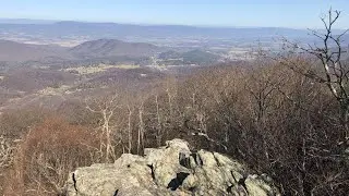 Early Spring at Shenandoah National Park 🏞️