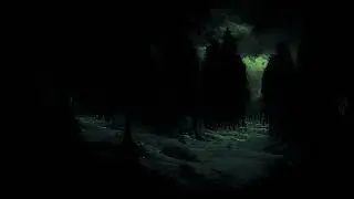 Dark Cold Forest - Dark Wilderness (2 hours immersive dark ambient)