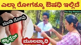 ಯಾವ ರೋಗಕ್ಕೆ ಬೇಕಾದ್ರೂ ಹಳ್ಳಿ ಔಷಧ ಕೊಡ್ತಾರೆ | ಪರಿಶುದ್ಧ ಜೇನಿನ ಪ್ರಾಡಕ್ಟ್ ಗಳು| ಜೇನಿನ ಮಾಹಿತಿ | 