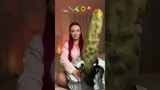 Самые большие подушки в мире 😳 Подписывайтесь, чтобы увидеть следующую часть)