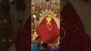 Jai shree SHYAAM 🙏🏻#explore #trending #youtube #love #khatushyam #bhakti #instagram #rose #funny