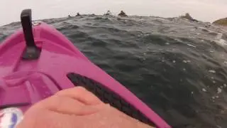 Finboard Trebeurden 20170417 18 Sophie