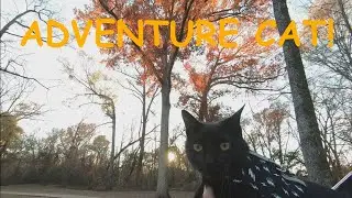 Blackbird the ADVENTURE CAT Explores the Local Trails with Us!! Paul Boorman Trail, Longview, Texas.