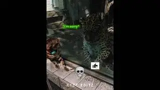 When cats meet other animals 💀