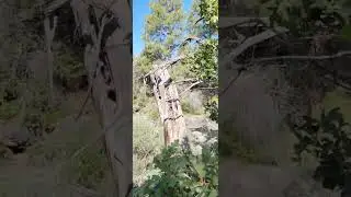 Secret glade park area.
