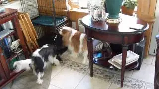 Easter Egg Hunt 2012.wmv