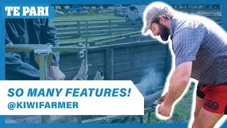 Vet Marker | Kiwi Farmer