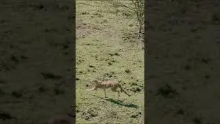 speed requires each part to participate