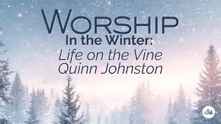 Worship in the Winter: Life on the Vine