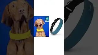 Smart dog collar #ces2023  #dog #doghealth #future #shorts #tamil #tech #trending #technology #dogs
