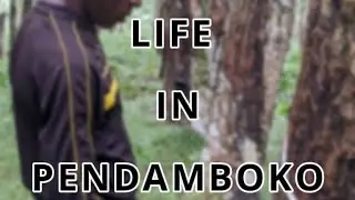 Documentary: Life in Pendamboko C.D.C Workers Camp 