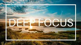 1 Hour Peaceful Forest Meditation Music | Stillpoint Studio #forest #naturesounds #relax