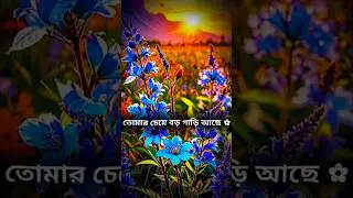 #motivational status vidio# viral trending Short vidio#🌹🌹🌹