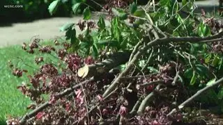 Charlotte residents angry of piles of yard waste that haven't been picked up