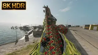 Warzone Quads Win &ndash; Rebirth Island | C9 & STG44 PS5 | 8K HDR 60FPS (No Commentary)