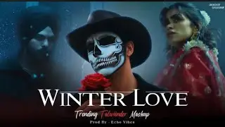 Winter Love Mashup - Pal Palx Haseen |Trending Talwiinder Mashup |Echo Vibes