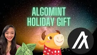 Праздничный подарок от Algomint! План поощрения сообщества ALGO на 1 миллион