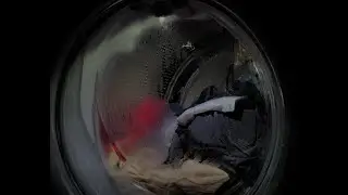 ELECTROLUX ELF Washer 