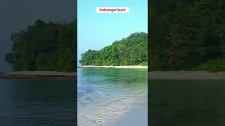Andaman & Nicobar Shorts. #travelzeta #viral #shorts #short #andamannicobar #andaman #nicobar