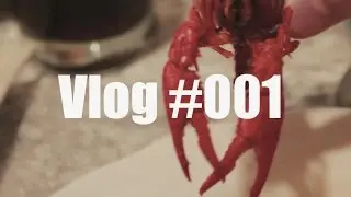 Vlog #001 Mein erster Vlog - Hochzeit und Prüfung