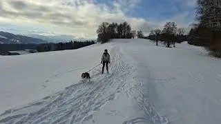Skijöring - das erste Training von zu Hause aus