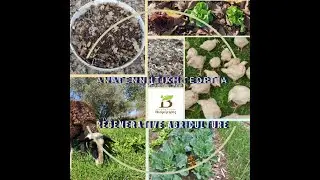 &Alpha;&gamma;&rho;ό&kappa;&tau;&eta;&mu;&alpha; &Beta;&iota;&omicron;&mu;ί&mu;&eta;&sigma;&iota;&sigmaf; &Chi;&alpha;&iota;&rho;&epsilon;&tau;&iota;&sigma;&mu;ό&sigmaf; / Biomimesis Farm Greeting
