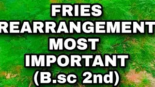 B.sc(2nd) Fries rearrangement  organic chemistry