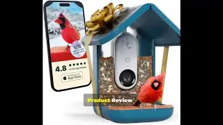 Product Review: Birdbuddy PRO Solar Smart Bird Feeder with Camera