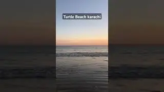 Serene Turtle Beach Sunset Waves 🌊 | Relaxing Vibes #iamrjanees #sunset #beach