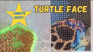 [SHORT] The turtles face highlightsm #diamondpainting timelapse