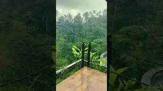 Serene Beauty of Ubud, Bali I Thejourneysaga