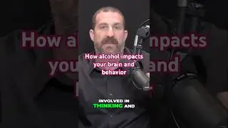 How alcohol impacts your brain and behavior - Neuroscientist Andrew Huberman #hubermanlab #shorts