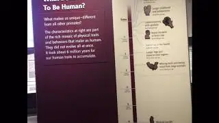 David H. Koch Hall of Human Evolution