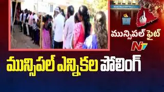 Telangana Municipal Elections 2026 Voting Live Updates From Karimnagar | NTV Telugu