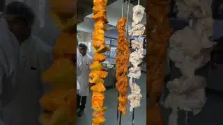 Tandoori Nights #chefsumitpant #food_slide #tandoori