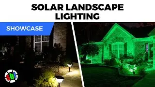 Brighten Your Landscape: Solar RGB and Warm White Landscape Lighting