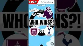 Burnley vs Tottenham #premierleague #gw23 #epl #marblerace #marbleracepremierleague