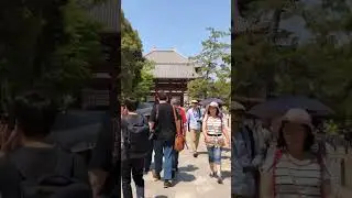 Todaiji Temple in Nara, #japan