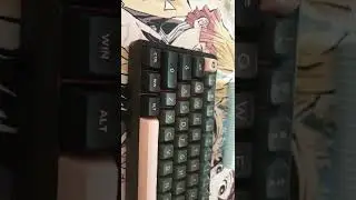 GamaKay LK 67/ AKKO ASA KEYCAPS #shorts #AKKO #customkeyboard #keyboard  #keycaps #germany #turkey