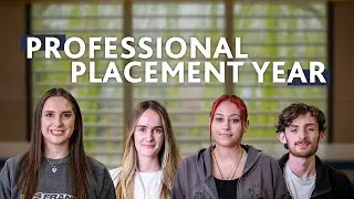 Professional Placement Year