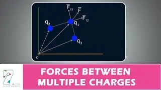 FORCES BETWEEN MULTIPLE CHARGES