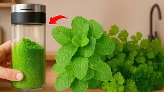 Как хранить кинзу и мяту до 1 года! Этот простой трюк сэкономит вам деньги!
