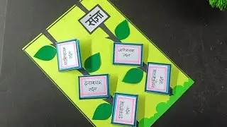 संज्ञा TLM || हिंदी TLM || TLM for primary school 